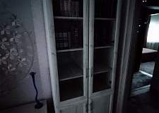 Шкаф книжный 2 №3 BMS
