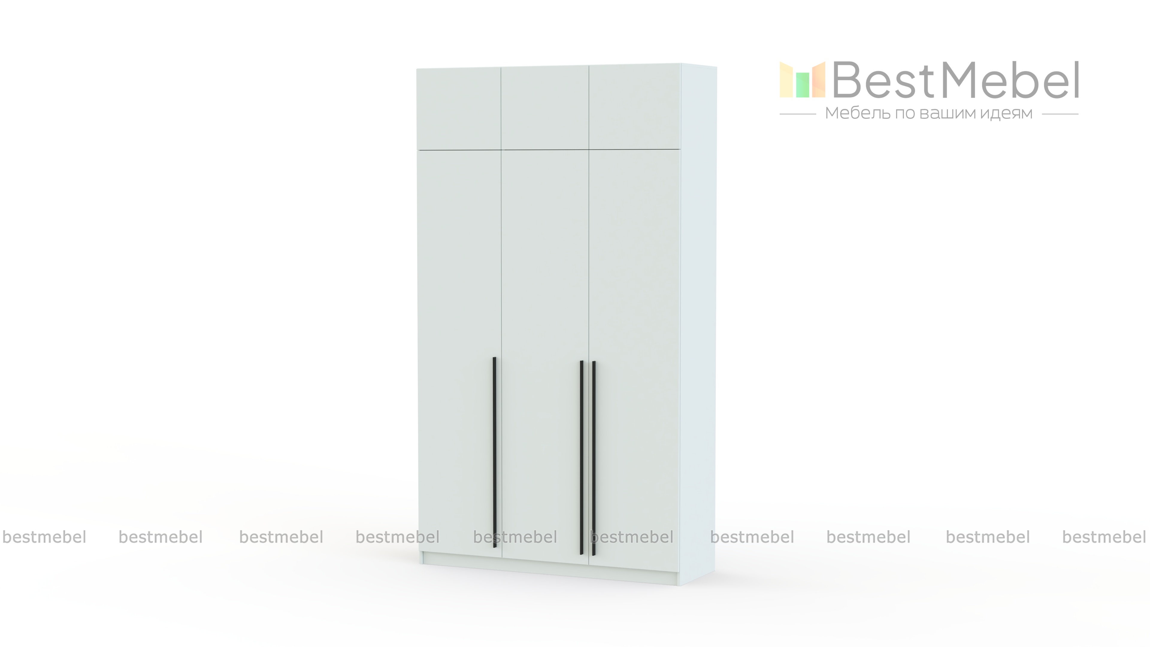 Шкаф распашной Айва 19 BMS